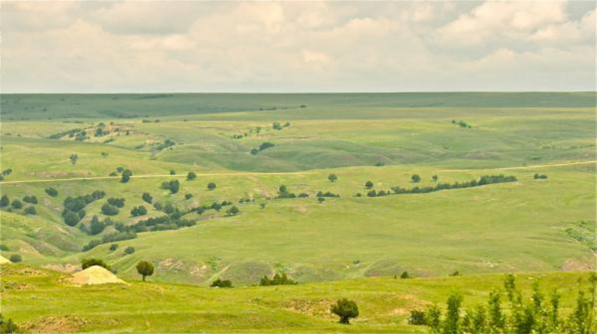 Landforms in the great plains of texas