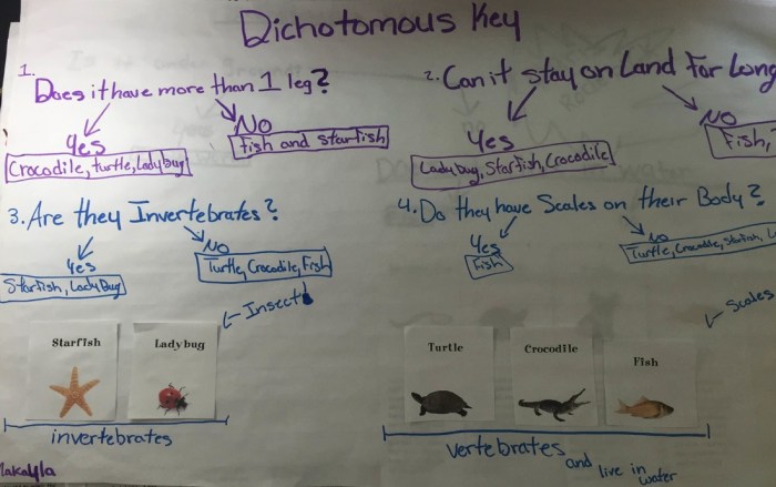 Dichotomous