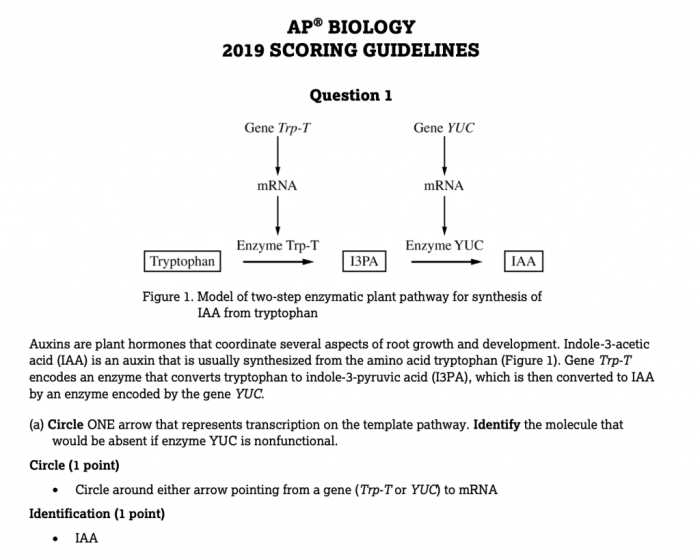 Ap biology unit 5 progress check frq