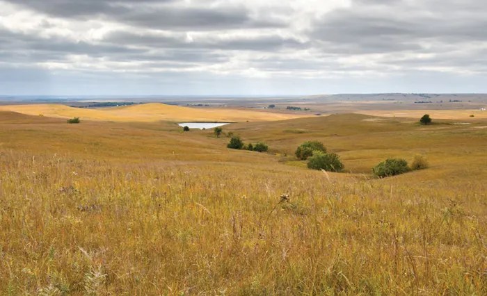 Plains llano estacado caprock escarpment shortgrass north ralls grasses steppe wiese grasslands lubbock 24x tallgrass canyon ecosystem