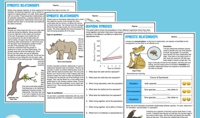 Symbiosis worksheet pdf answer key