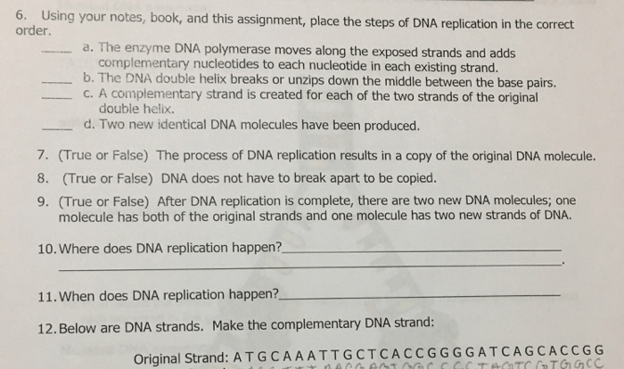 Dna replication practice worksheet answer key pdf