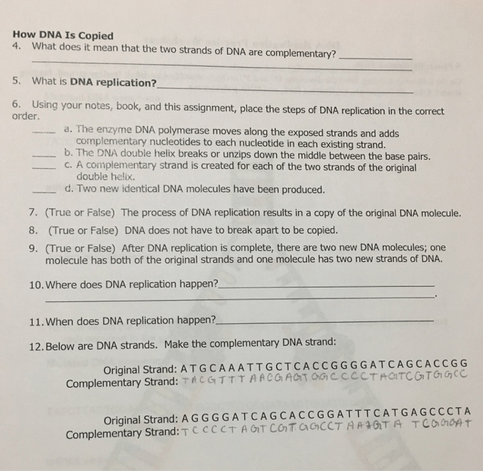 Dna replication practice worksheet answer key pdf