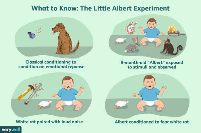 After little albert acquired a conditioned fear of rats